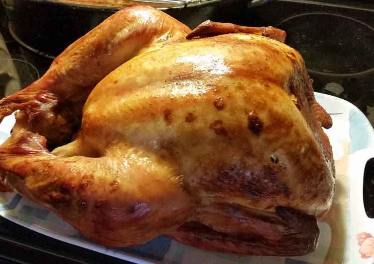 Alton Brown's Turkey Brine